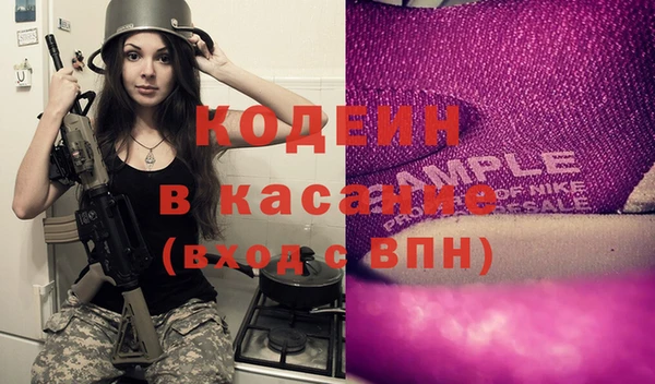 крисы Няндома