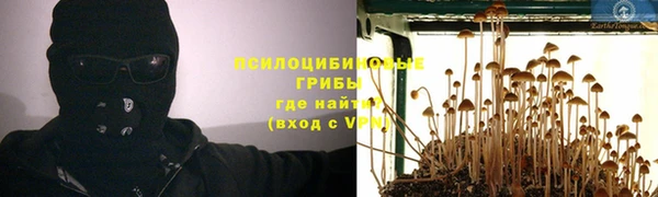 гидра Белокуриха