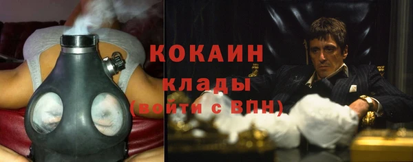 гидра Белокуриха