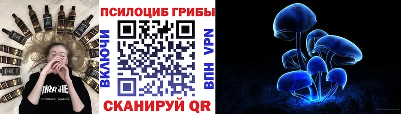 Псилоцибиновые грибы ЛСД  Новоалтайск 